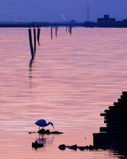 Po Delta Tourism s.r.l. - Thumbnail