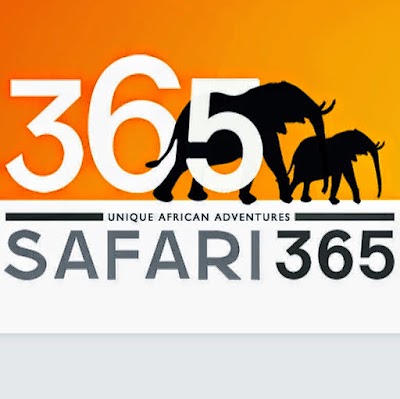 Photos of Safari365