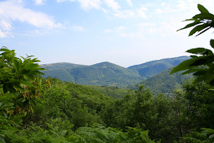 Photo n°21 de Aérium à Arrigas (Professeur de yoga)
