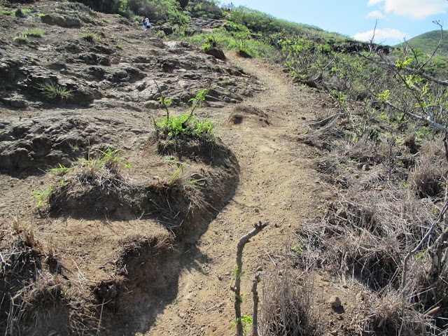 Pillbox Hike