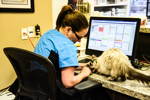 VCA Canada Crowfoot Animal Hospital Gallery - Canada