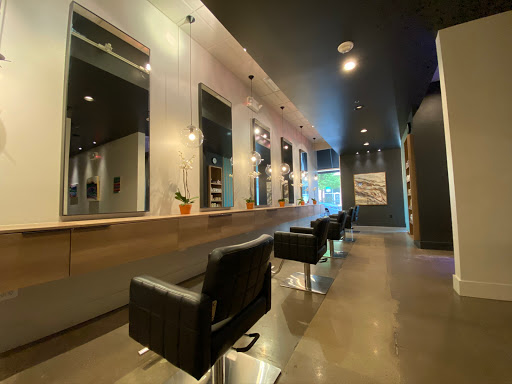 Whistle & Sway Salon | Voted Best Salon in Fort Worth Magazine - Thumbnail
