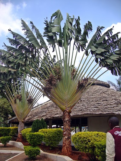 Photos of Multimedia University of Kenya