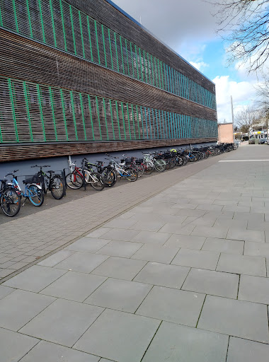 Stadtteilschule Niendorf - Thumbnail