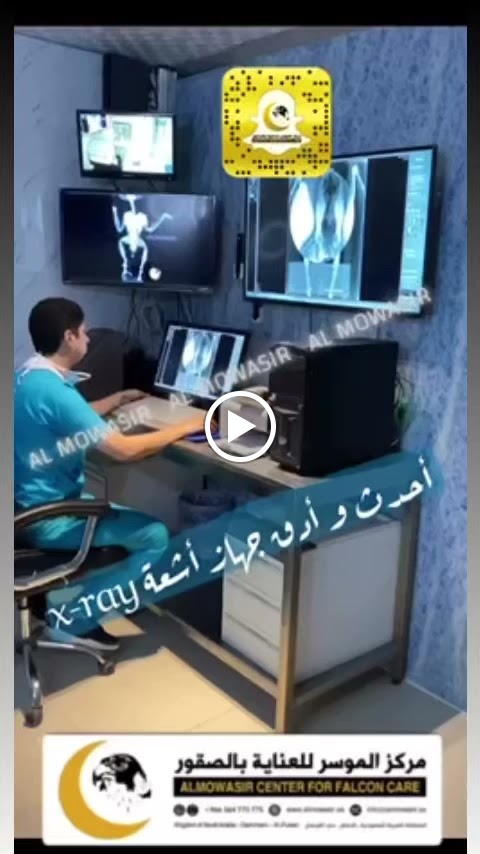 مستشفى الموسر لعلاج الصقور و الطيور الاليفة البيطري - صورة 2