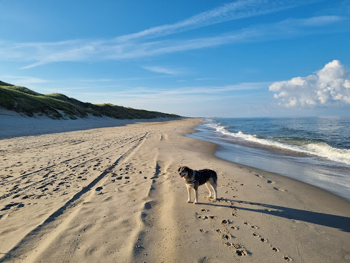 Callantsoog, Zwanenwater