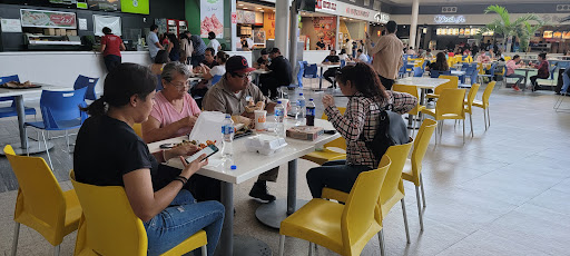 Paseo Durango - Visual