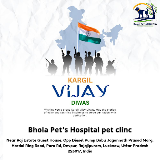At Bhola Pet's Hospital, we honor Kargil Vijay Diwas by pledging compassion and care for all pets… post image