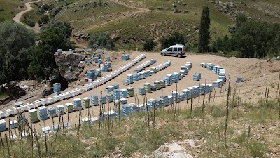 Photos of G&Uuml;NG&Ouml;RBAL Niğde
