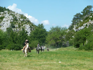 Photo n°1 de Centre Equestre La Grande Bastide à Peyroules (Pension pour chevaux)