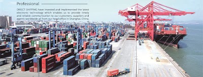 Direct Shipping International Ltd