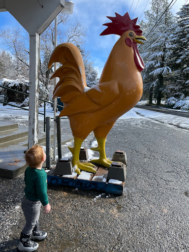 Simply Country Feed & Supply - Thumbnail