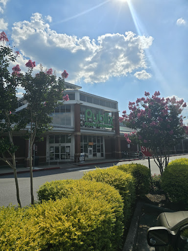 Paces Ferry Center - Visual