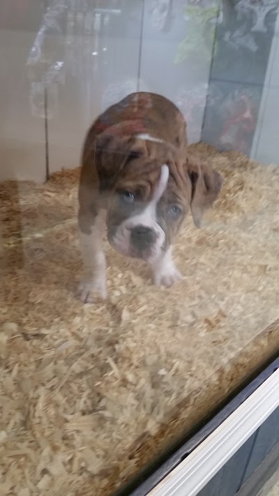 Pet Store in Lynchburg VA