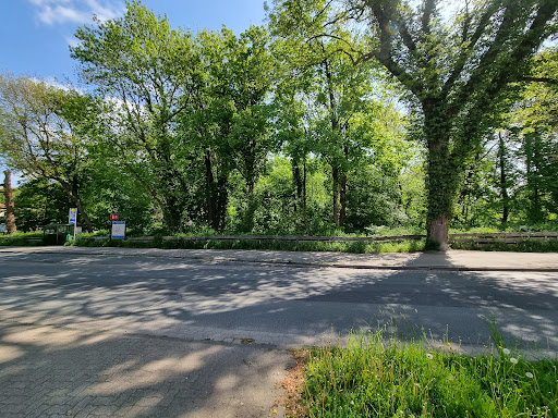 Springe Volks Park - Thumbnail