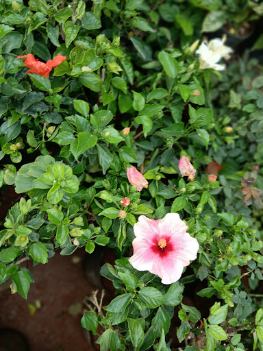 Gallery image 11