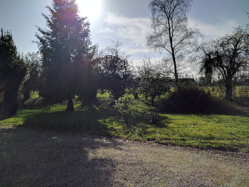 Charles Church Priory Park - Thumbnail
