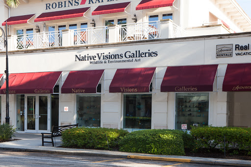 Native Visions Galleries - Visual