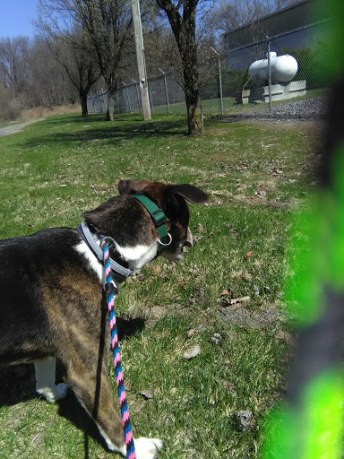 Ulster County SPCA - Thumbnail