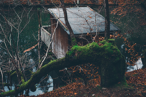 Isselteiche - Visual