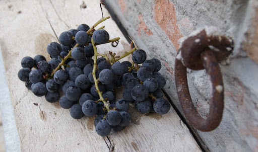 Cantine Campana