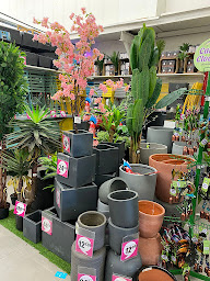 Photo n°8 de La Foir'Fouille à Anthy-sur-Léman (Magasin d'articles pour animaux)