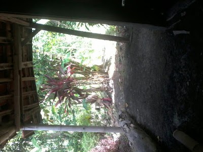Photos of Warung Kopi Gaul