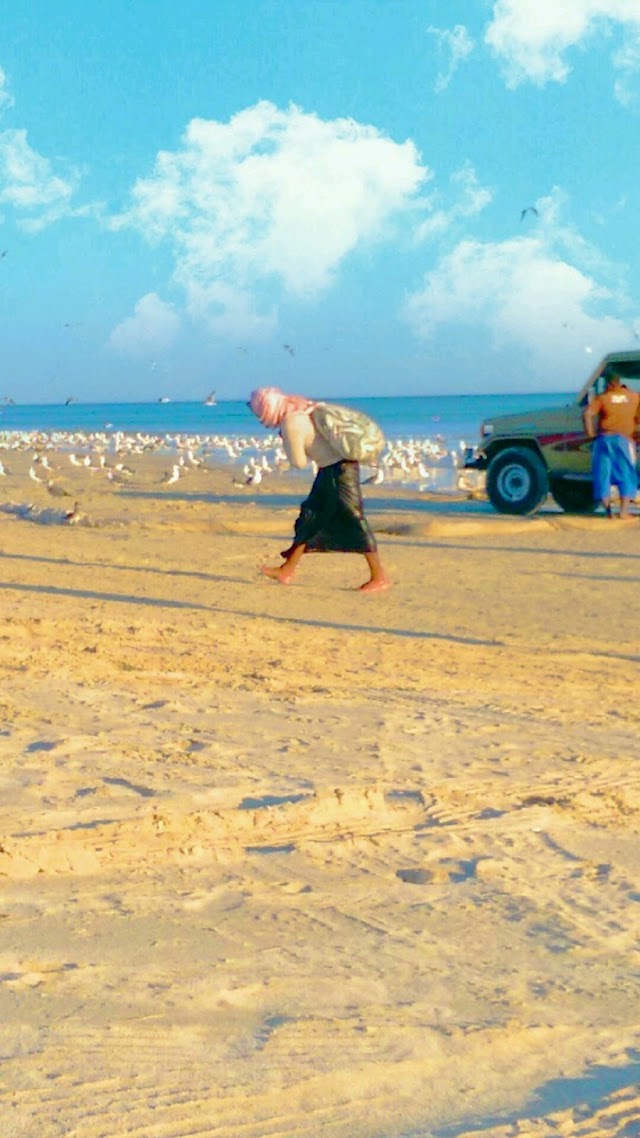 Al Haffa