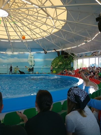 Photos of Del'finariy Nemo