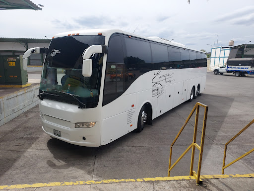 Executive Tour - Visual