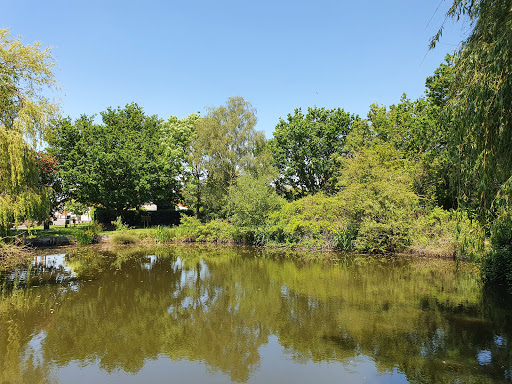 Chestnut Pond