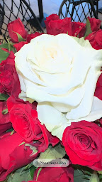 Photo n°33 de Le thaï yonnais à La Roche-sur-Yon (Restaurant thaï)