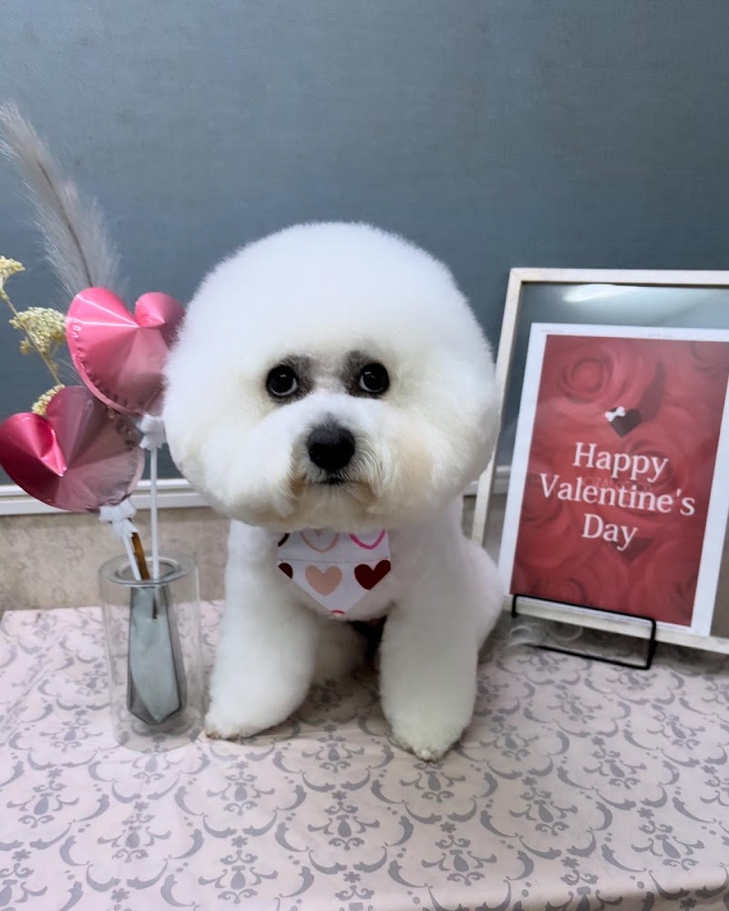 Dog Salon PEARL (ドッグサロン パール)