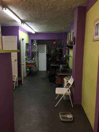 King Grooming - Visual