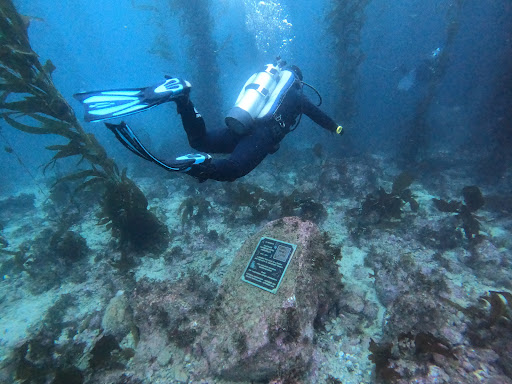 Catalina Scuba - Thumbnail