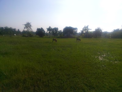 Photos of Kalidas Baral Memorial Degree College