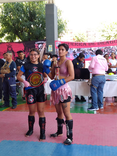 Modulo Deportivo Azteca - Thumbnail