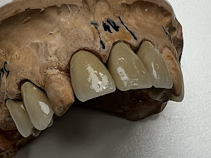 Photo n°2 de Laboratoire de prothèses dentaires Collignon C3Dentaire à Montauban (Centre de prothèses dentaires)