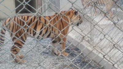 Photos of Zoologico Municipal