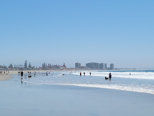 Coronado Dog Beach - Thumbnail