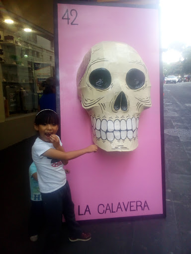 Optima-Cuernavaca - Visual