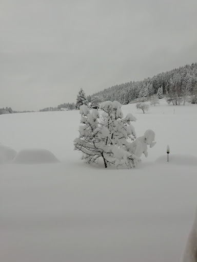 Tischneck - Thumbnail