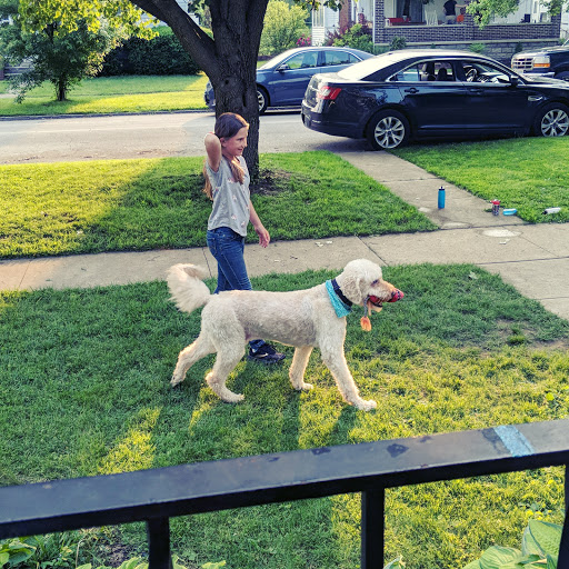 Shear Delight Pet Salon - Thumbnail