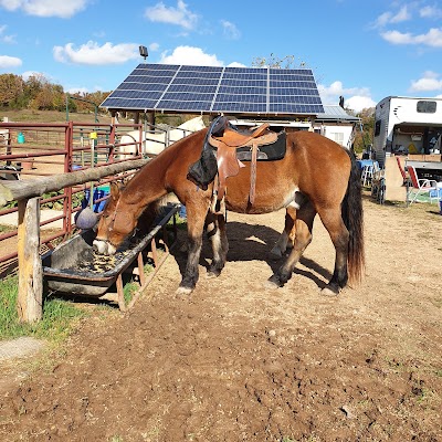 Keels Creek Stable