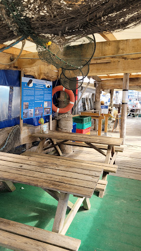 Fish from a boat - Thumbnail