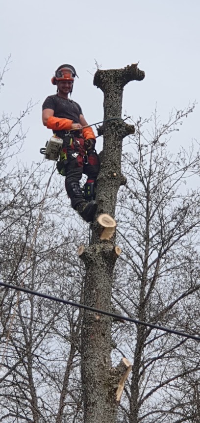 ÉLAGAGE GAZEAUX Entretiens d'espaces