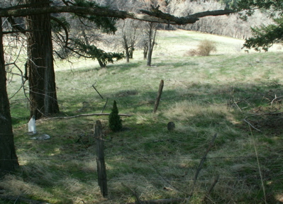 Dry Creek Cemetery - Thumbnail