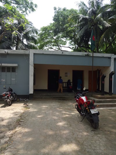 Photos of Bakila Bazar