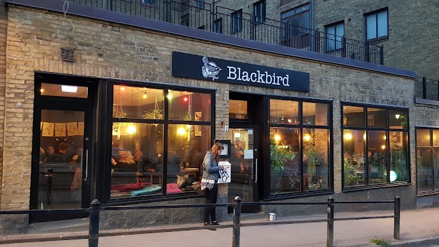 Blackbird - Vegankök & Bar