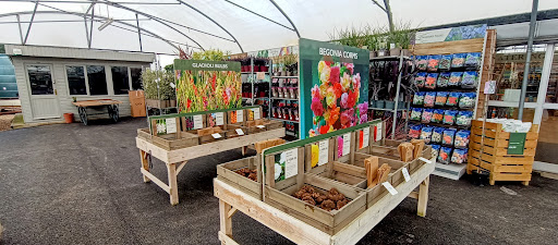 Hillier Garden Centre Newbury - Thumbnail